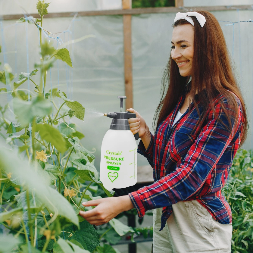 2L Garden Pressure Sprayer