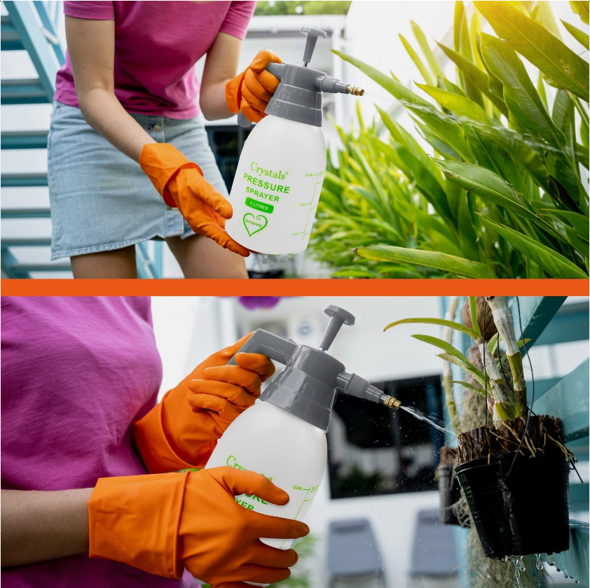 2L Garden Pressure Sprayer